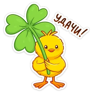 🍀 e9500c88 УДАЧИ! chance, trèfle, trèfle à quatre feuilles, poussin cartoon, bonne chance, russe, souhaiter bonne chance whatsapp sticker