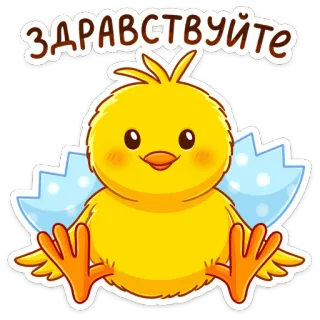 🐥 178da454 здравствуйте chick, bird, hello, russian, cute, greeting, baby bird whatsapp sticker