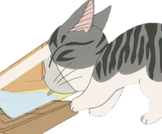 🥛 906e030b telegram sticker