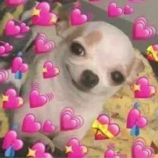 🥰 0ff476f0 狗, 吉娃娃, 爱心, 爱, 可爱, 动物, 梗 telegram sticker