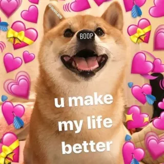 🥰 36cd3a9b BOOP
u make my life better 狗, 表情包, 可爱, 爱, 有爱, 心 telegram sticker