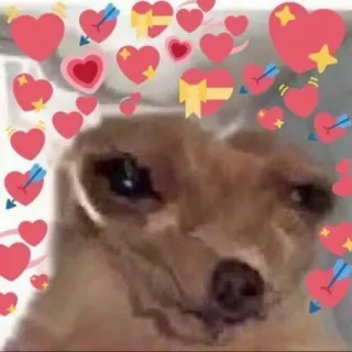🙁 8ff48672 狗, 爱, 爱心, 可爱, 动物, 梗, 喜爱 telegram sticker