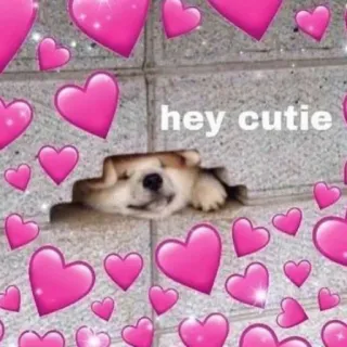 💕 ae44edf3 hey cutie 狗, 爱心, 可爱, 宠物, 爱, 萌 telegram sticker