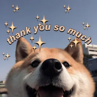 😘 d0ffd205 thank you so much 狗, 柴犬, 谢谢, 可爱, 闪光, 星星, 动物, 宠物 telegram sticker