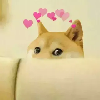 😍 d7f99f57 狗, 爱心, 可爱, 柴犬, 爱 telegram sticker