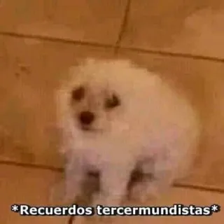 Redesconjacky telegram stickers