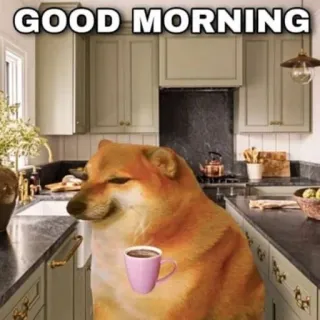 ☕️ febfcbbb GOOD MORNING 狗, 早上好, 咖啡, 厨房, 表情包, Cheems telegram sticker