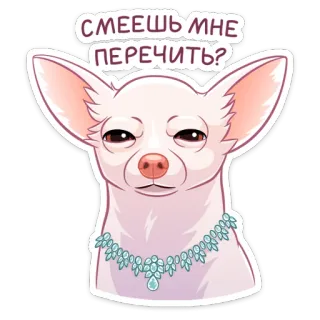 😡 176be323 СМЕЕШЬ МНЕ ПЕРЕЧИТЬ? 犬, チワワ, ネックレス, 面白い, かわいい, ミーム telegram sticker
