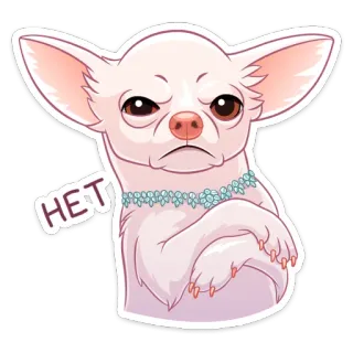 🙅‍♂️ 4225a96d HET チワワ, 犬, かわいい, ステッカー, 動物, ペット, いいえ telegram sticker