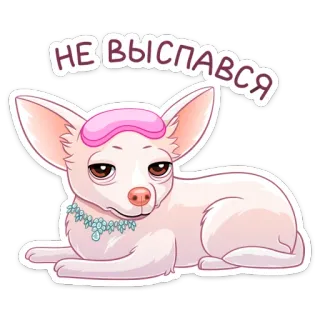 😴 892fcbab НЕ ВЫСПАВСЯ 犬, 疲れた, 眠い, チワワ, 漫画, かわいい, アイマスク telegram sticker