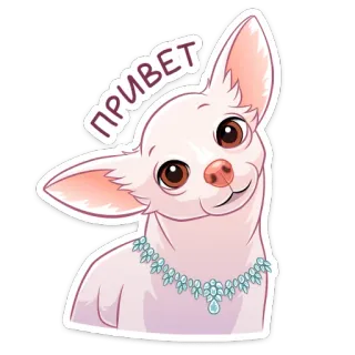 👋 8bf17bd3 ПРИВЕТ 犬, チワワ, 挨拶, ジュエリー, 動物 telegram sticker
