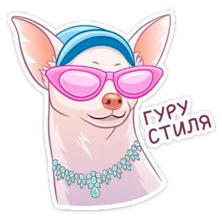 😎 d28d9a26 ГУРУ СТИЛЯ 犬, チワワ, スタイル, グル, ファッション, グラマー telegram sticker