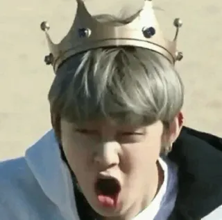 🦊 2138d288 telegram sticker