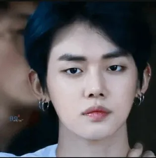 🦊 2d4e576d pria, potret, wajah, anting telegram sticker