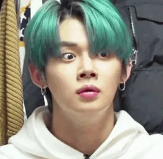 🦊 400ddfe7 orang, pria, rambut hijau, ekspresi, k-pop telegram sticker