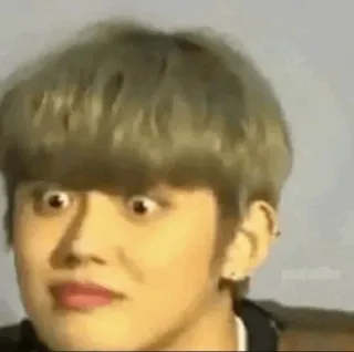 🦊 467bbdef telegram sticker