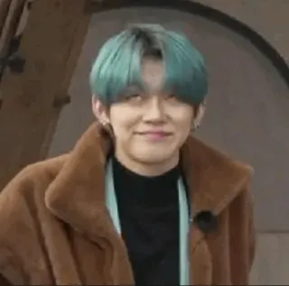 🦊 4f9d5069 telegram sticker