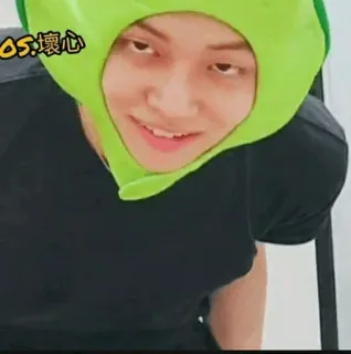 🦊 5734430a OS:壞心 pria, topi hijau, tersenyum, potret, orang telegram sticker