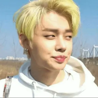 🦊 655aa815 telegram sticker