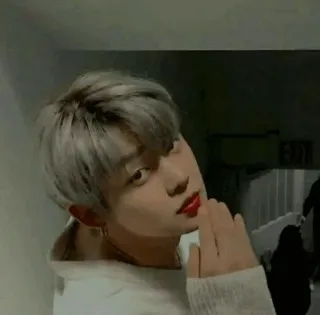 🦊 68cb04f8 telegram sticker