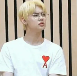 🦊 6bf9d354 orang, bingung, rambut pirang, kacamata, kpop, idola telegram sticker