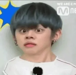 🦊 79317346 telegram sticker