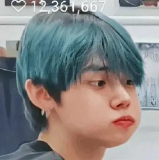 🦊 8044a552 telegram sticker