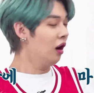 🦊 8c8f5616 에 마 pria, potret, kpop, korea, orang, lucu, meme telegram sticker