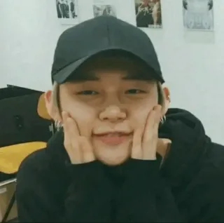 🦊 b50fa8d6 telegram sticker