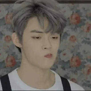 🦊 b6703652 telegram sticker