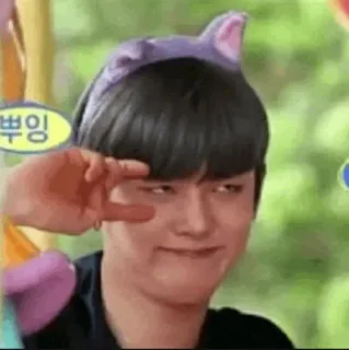 🦊 c5295e8c 뿌잉 Korea, Orang, Asia, Lucu, Ekspresi, Teks, Kedipan telegram sticker