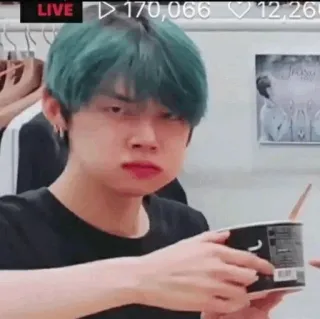 🦊 d09170b6 orang, pria, makan, rambut hijau, kpop, selfie, siaran langsung telegram sticker