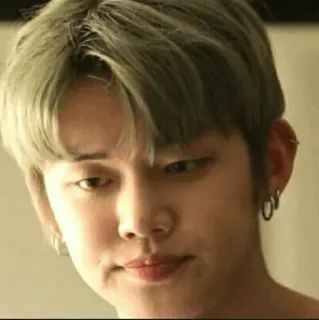 🦊 eeded948 kpop, pria, potret, orang, anting, laki-laki telegram sticker