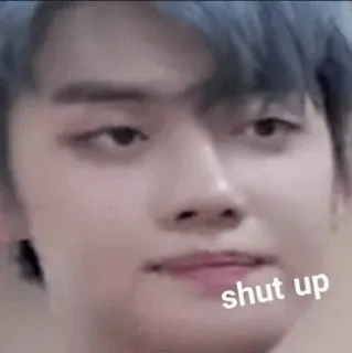 🦊 ef915341 shut up diam, Meme, Ekspresi, Kpop telegram sticker