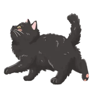 🖤 4b1db53f kucing, hewan, peliharaan, felin, kucing hitam whatsapp sticker