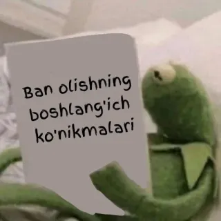 🖐 af3e4312 Kermit Ban olishning boshlang’ich ko’nikmalari kermit, muppet, frosch, lesen, buch telegram sticker
