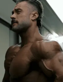 🧔‍♂️ fba20368 Musculação, Fitness, Músculo, Academia, Treino, Homem, Atlético telegram sticker