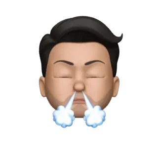 😤 c650918e Gesicht, Emoji, Einatmen, Ausatmen, Dampf, Ausdruck whatsapp sticker
