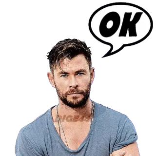 🆗 4393c702 OK OK, Genehmigung, Zustimmung, Chris Hemsworth telegram sticker
