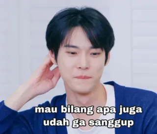 😏 ceb3da6a mau bilang apa juga udah ga sanggup kpop, expression, indonesian, man, portrait telegram sticker