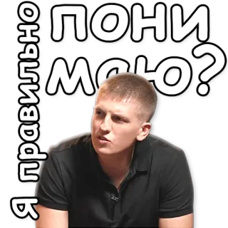❓ 4c9908b2 Я правильно ПОНИмаю? telegram sticker