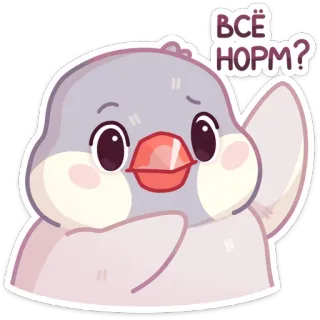 👋 1d744168 ВСЁ НОРМ? 鸟, 问题, 动物, 卡通, 贴纸 telegram sticker