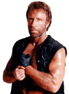 😠 4908a951 Chuck Norris チャック・ノリス, 俳優, 格闘技, ウォーカーテキサスレンジャー, アクション telegram sticker