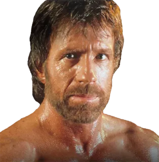 😒 e352132b Chuck Norris 俳優, 武道, 格闘家, チャック, ノリス telegram sticker