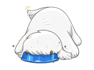 👻 263dcdc8 animal, dog, eating, bowl, white, pet telegram sticker