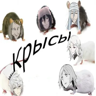 🐀 d3954d9f крысы szczury, anime, postacie, kolaż telegram sticker