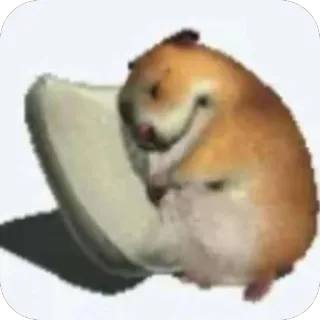 🫥 223a0393 hamster, animal, mème, rongeur, mignon, nourriture telegram sticker