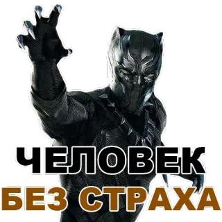 👍 daf667cf Black Panther ЧЕЛОВЕК БЕЗ СТРАХА 블랙 팬서, 슈퍼히어로, 와칸다, 마블, 만화, 채드윅 보스만 telegram sticker