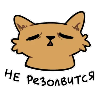 😰 11349b13 НЕ РЕЗОЛВИТСЯ kat, verdrietig, meme, russisch, sticker telegram sticker