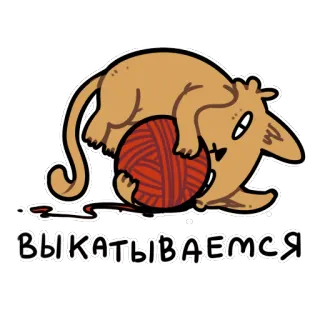 👉 9ae4f017 выкатываемся kat, wol, bal, schattig, dier, sticker telegram sticker